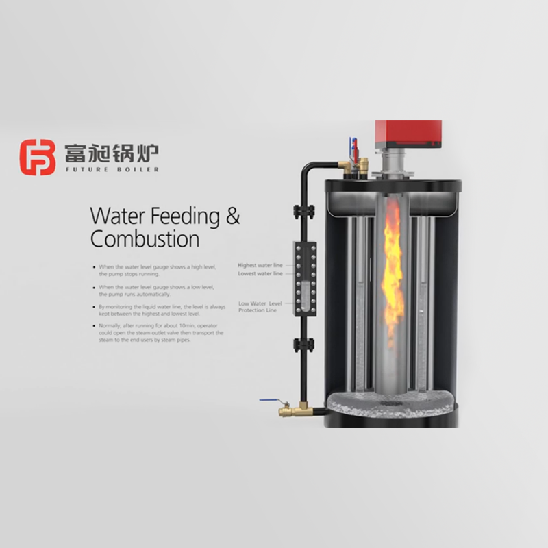 LSS系列燃油(氣)蒸汽鍋爐